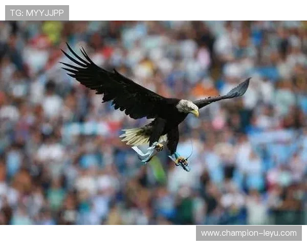 拉齐奥重启主场放飞雄鹰仪式:新鹰将亮相,球迷可参与命名投票 拉齐奥重启主场放飞雄鹰仪式:新鹰将亮相,球迷可参与命名投票